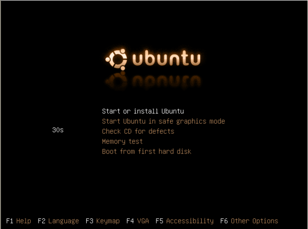 sshot-10-ubuntu-install-screen.png